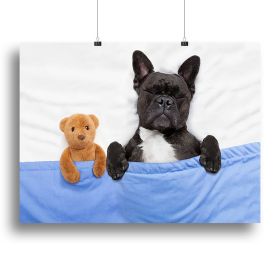 French bulldog dog with headache and hangover sleeping in bed Canvas Print or Poster (Type: Standard Framed Canvas Print, size: 24" x 16" / 60cm x 40cm (approx))